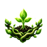 Roots